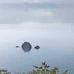 हिमाचल: जलाशयों में 15 अगस्त तक मछली पकड़ने पर प्रतिबंध, नियमों की अवहेलना करने पर होगी कार्रवाई