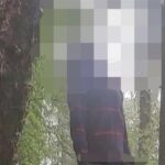 समरहिल में पेड़ से लटका मिला युवक का शव, पुलिस जांच में जुटी