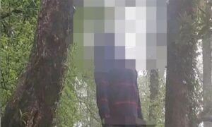 समरहिल में पेड़ से लटका मिला युवक का शव, पुलिस जांच में जुटी